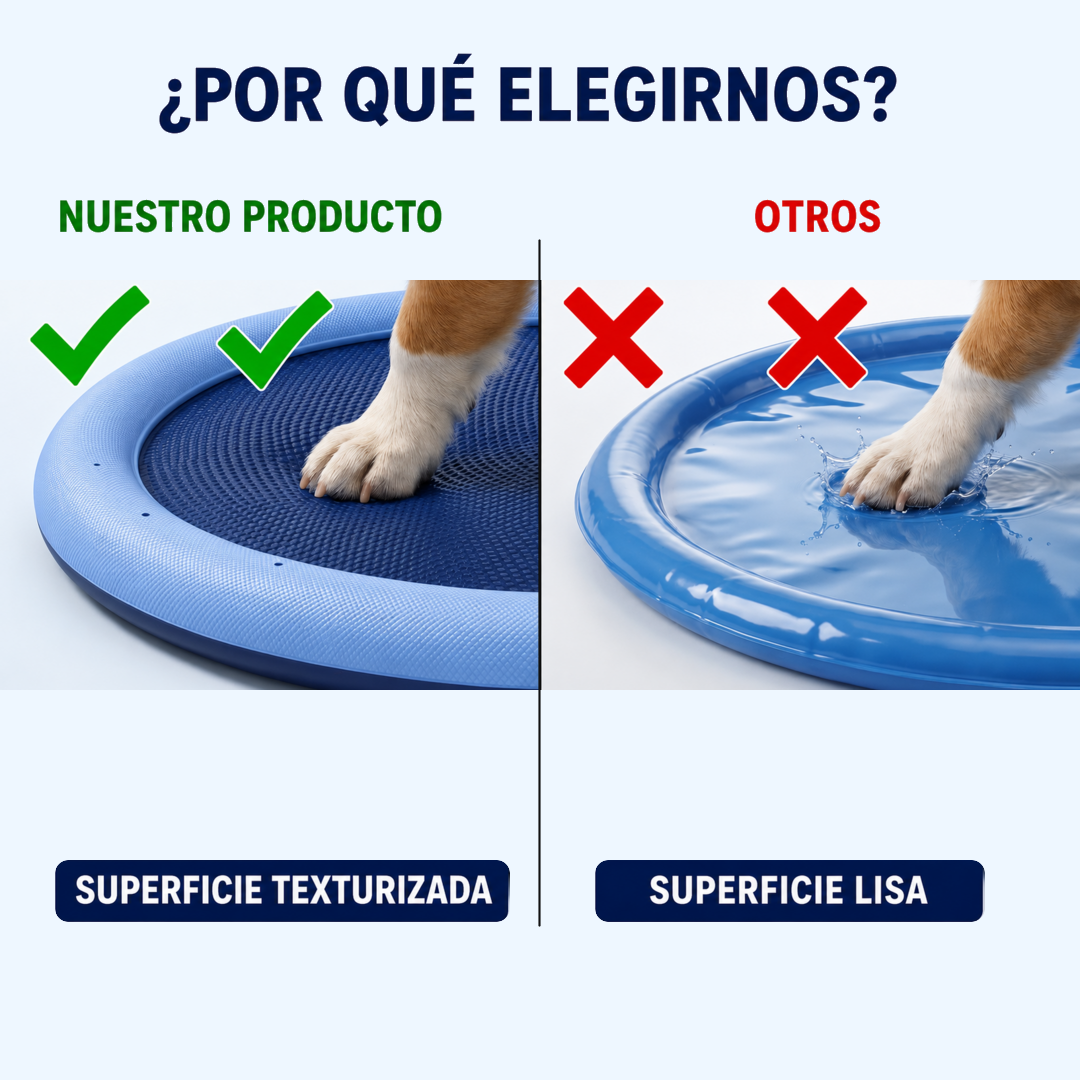 Parque Acuático para Perros