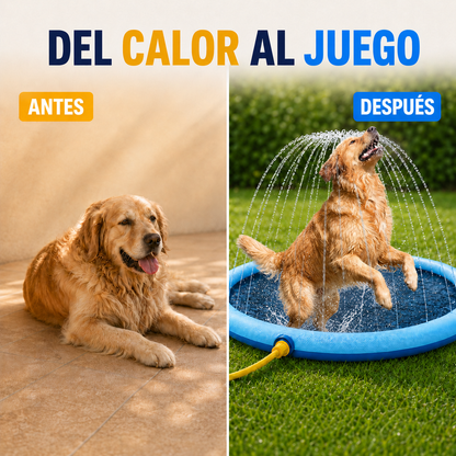 Parque Acuático para Perros