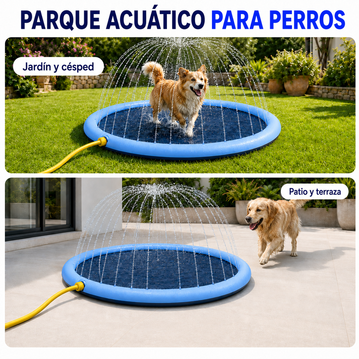 Parque Acuático para Perros