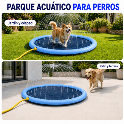 Parque Acuático para Perros